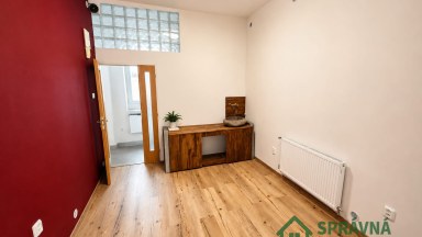 Pronájem nebytových prostor 41m2, Plzen