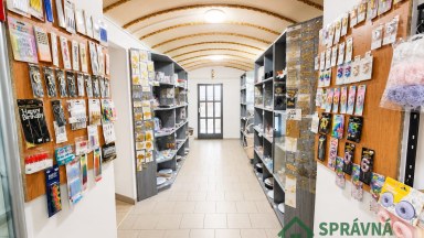 Pronájem obchodních prostor, 120 m2, Plzeň