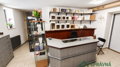 Pronájem obchodních prostor, 120 m2, Plzeň