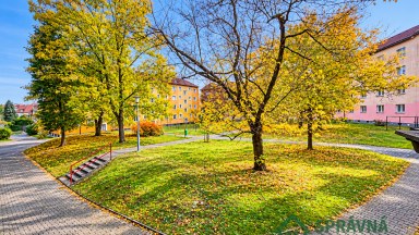 Pronájem bytu 2kk 41m2, Plzeň 